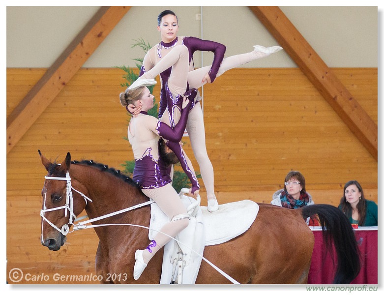 Voltíž - Vaulting 2013