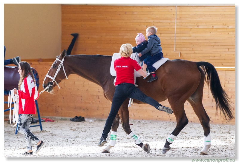 Voltíž - Vaulting 2013