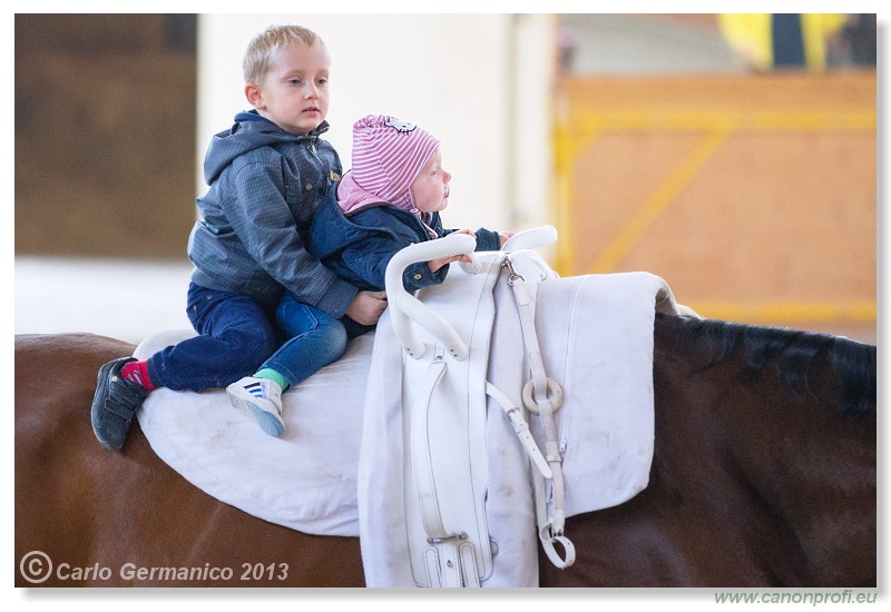 Voltíž - Vaulting 2013