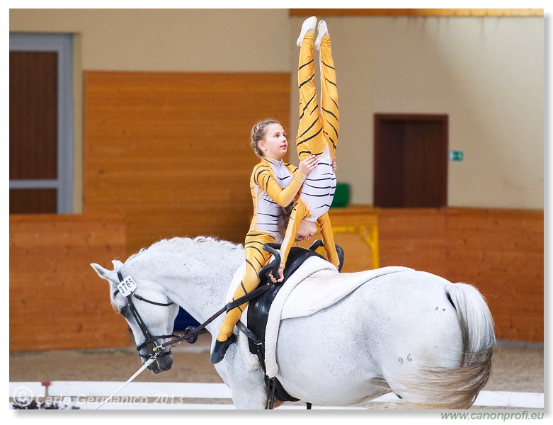 Voltíž - Vaulting 2013