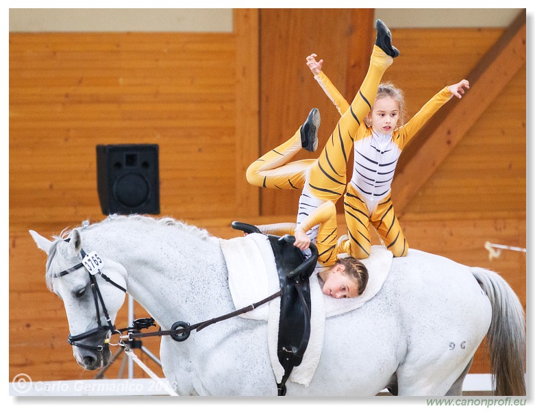 Voltíž - Vaulting 2013
