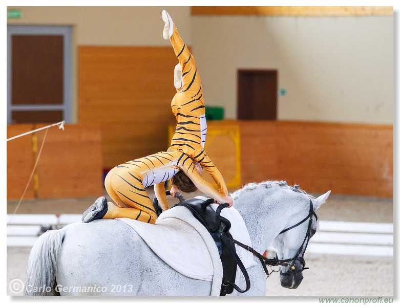Voltíž - Vaulting 2013
