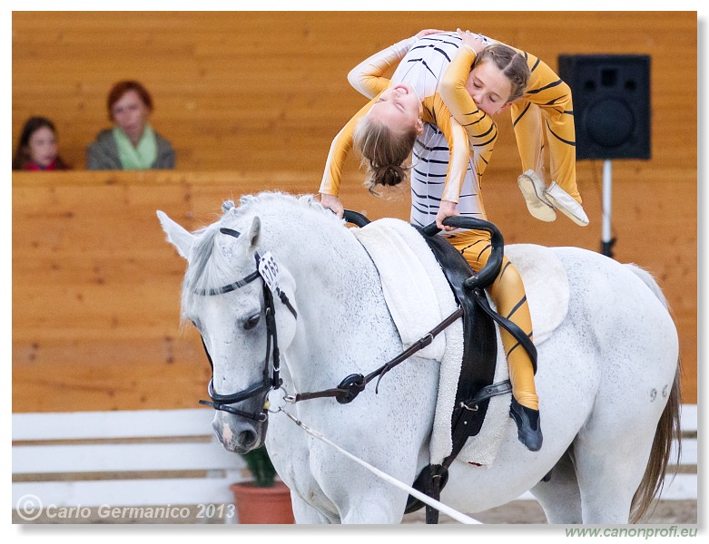 Voltíž - Vaulting 2013