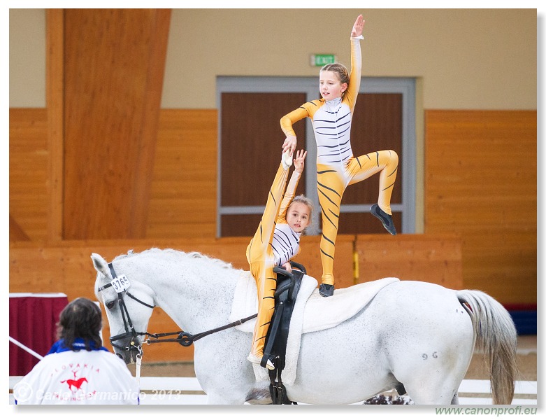 Voltíž - Vaulting 2013