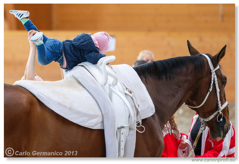 Voltíž - Vaulting 2013