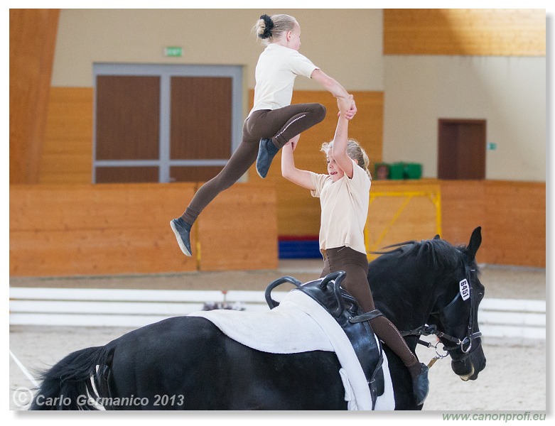 Voltíž - Vaulting 2013