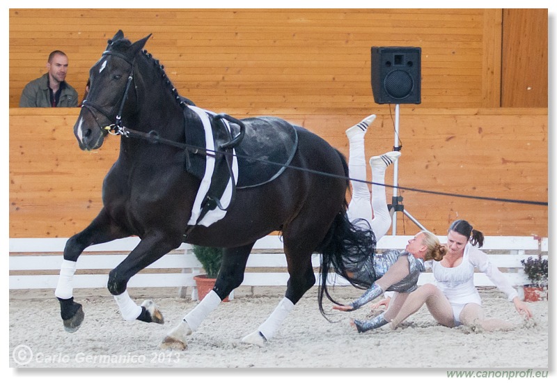 Voltíž - Vaulting 2013