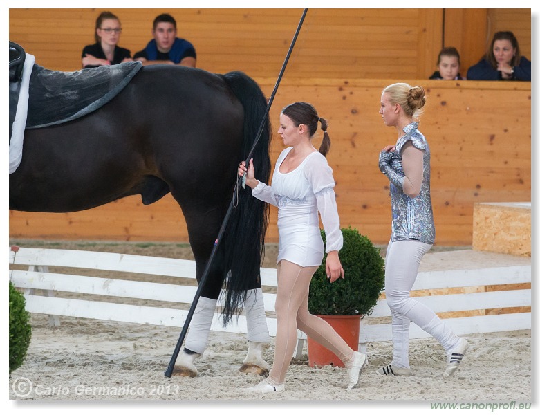 Voltíž - Vaulting 2013