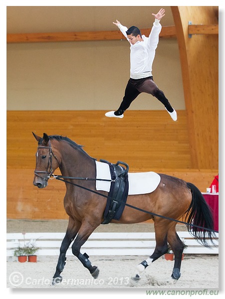 Voltíž - Vaulting 2013