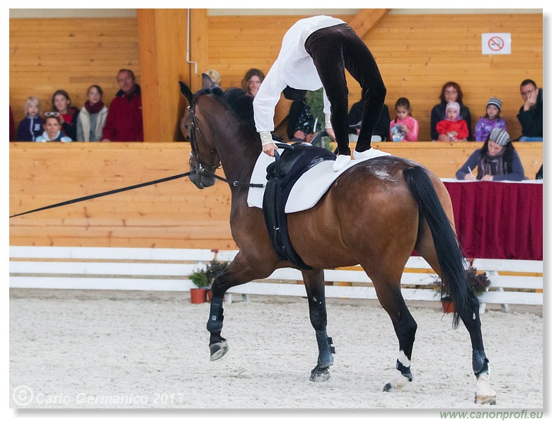 Voltíž - Vaulting 2013
