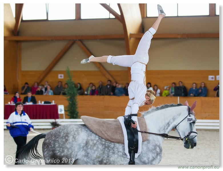 Voltíž - Vaulting 2013