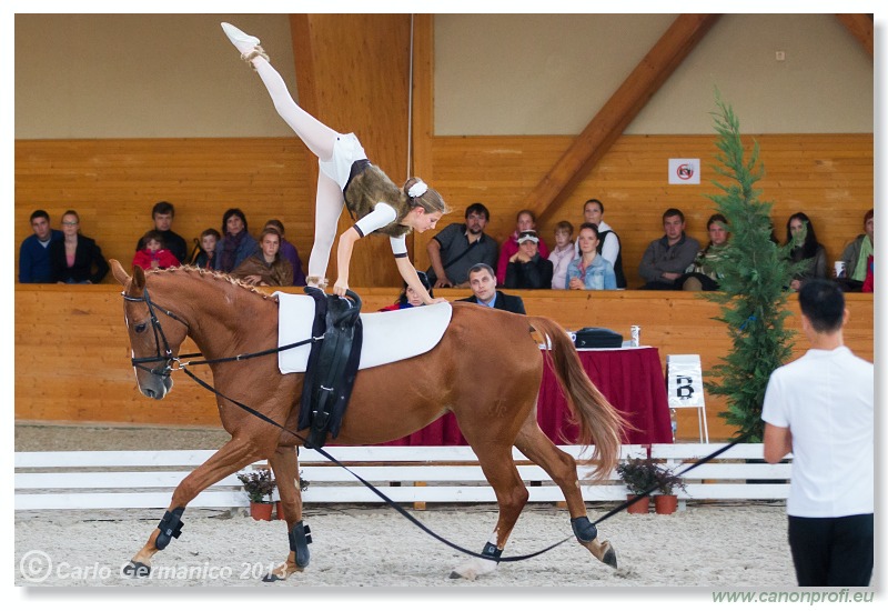 Voltíž - Vaulting 2013