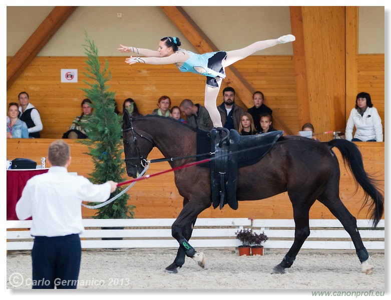 Voltíž - Vaulting 2013