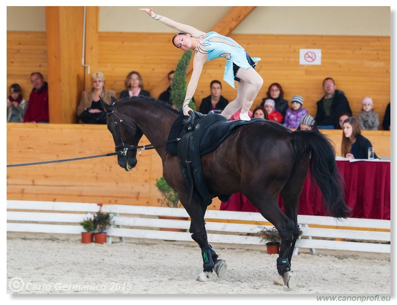 Voltíž - Vaulting 2013