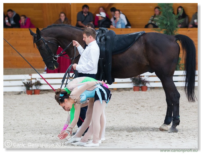 Voltíž - Vaulting 2013