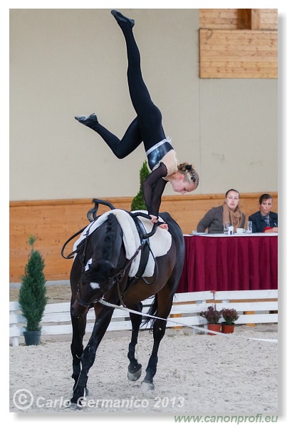 Voltíž - Vaulting 2013