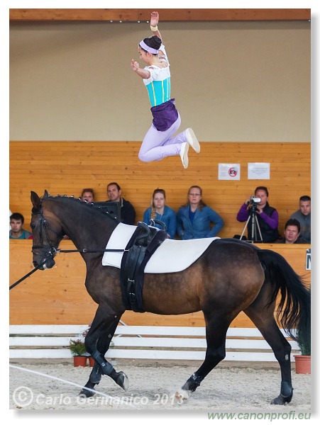 Voltíž - Vaulting 2013