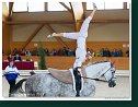 Finále jednotlivcov junior, senior – voľná zostava