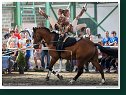 Slovenský voltížny pohár 2012