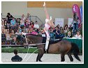 Individual vaulting - CVICH2* male and female - Freestyle