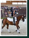 Individual vaulting - CVICH2* male and female - Compulsory test 2
