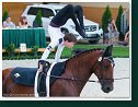 Individual vaulting male - Freestyle