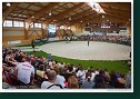 Individual vaulting male - Freestyle
