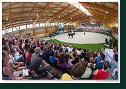 Individual vaulting female - Freestyle