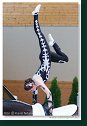 Individual vaulting female - Freestyle