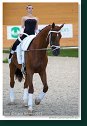 Individual vaulting female, 2. round - Complusory test 2