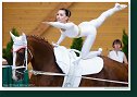 Individual vaulting female, 2. round - Complusory test 2