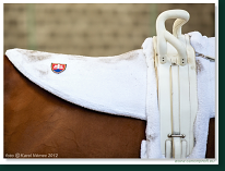 Voltíž - Vaulting 2012