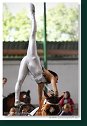 Slovenský voltížny pohár 2011