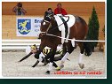 Pas-De-Deux - voľná zostava