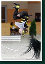Pas-De-Deux - voľná zostava