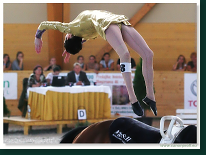 Voltíž - Vaulting 2011