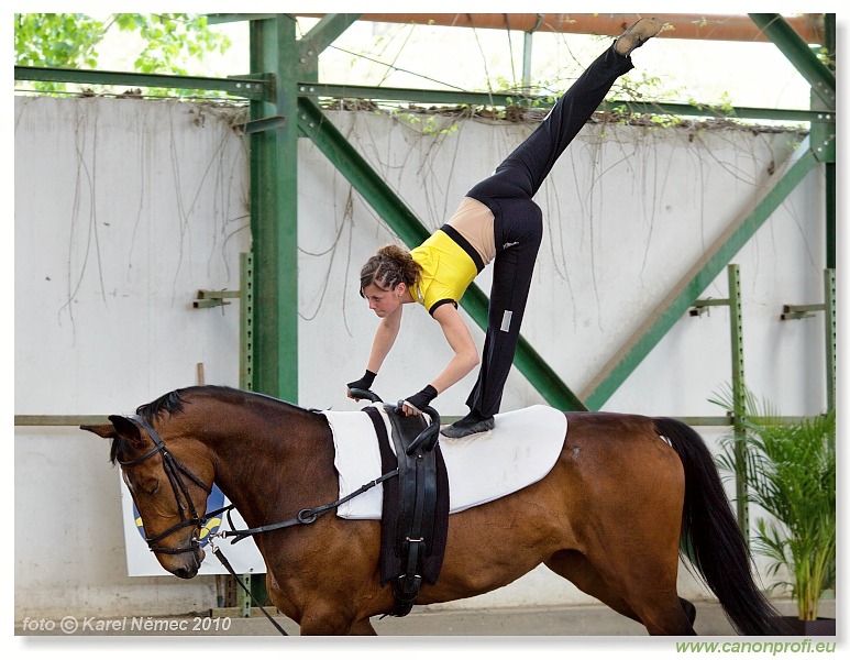 Voltíž - Vaulting 2010