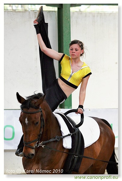 Voltíž - Vaulting 2010