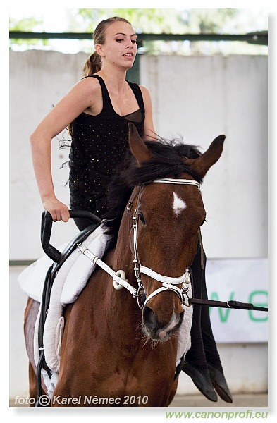Voltíž - Vaulting 2010