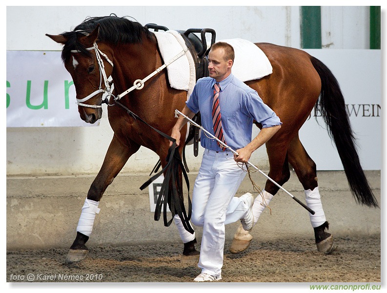 Voltíž - Vaulting 2010