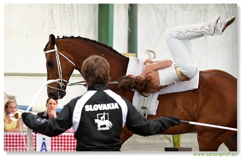 Voltíž - Vaulting 2010