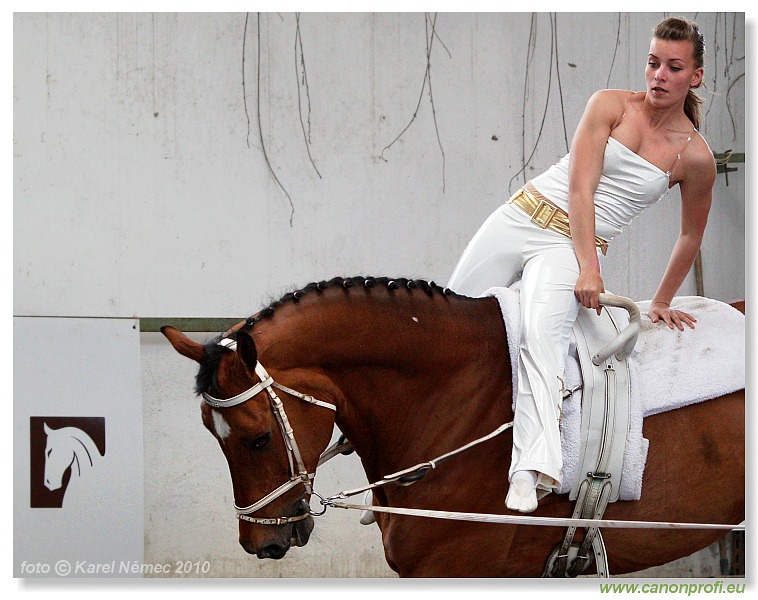 Voltíž - Vaulting 2010