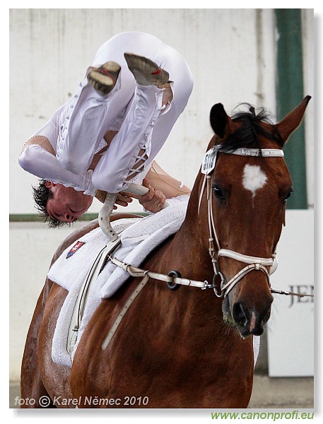 Voltíž - Vaulting 2010