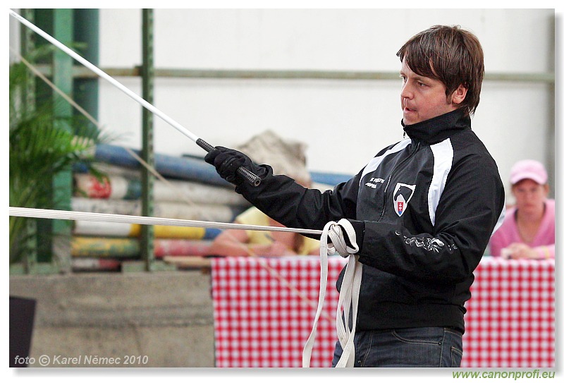 Voltíž - Vaulting 2010