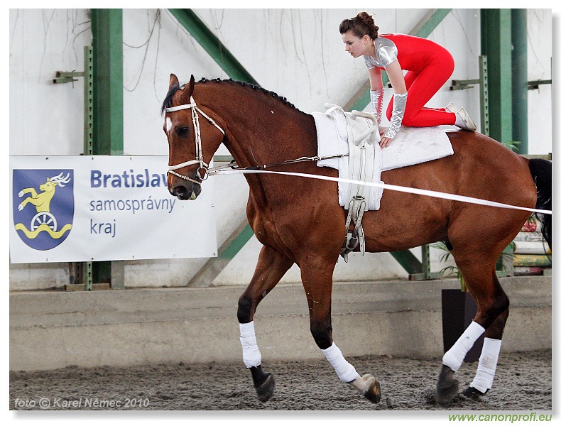 Voltíž - Vaulting 2010
