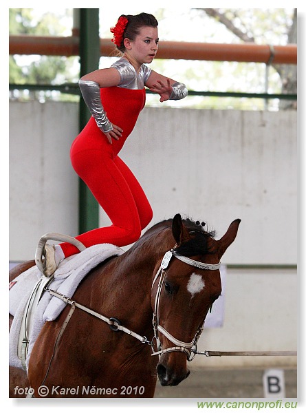 Voltíž - Vaulting 2010