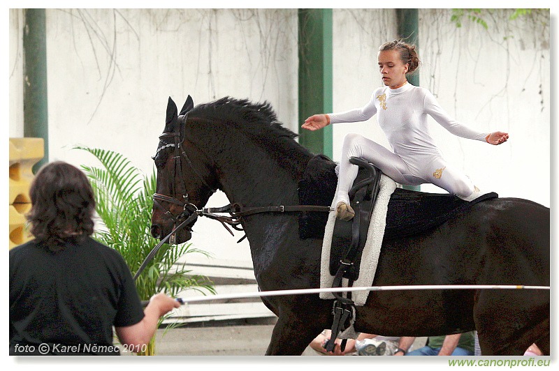 Voltíž - Vaulting 2010