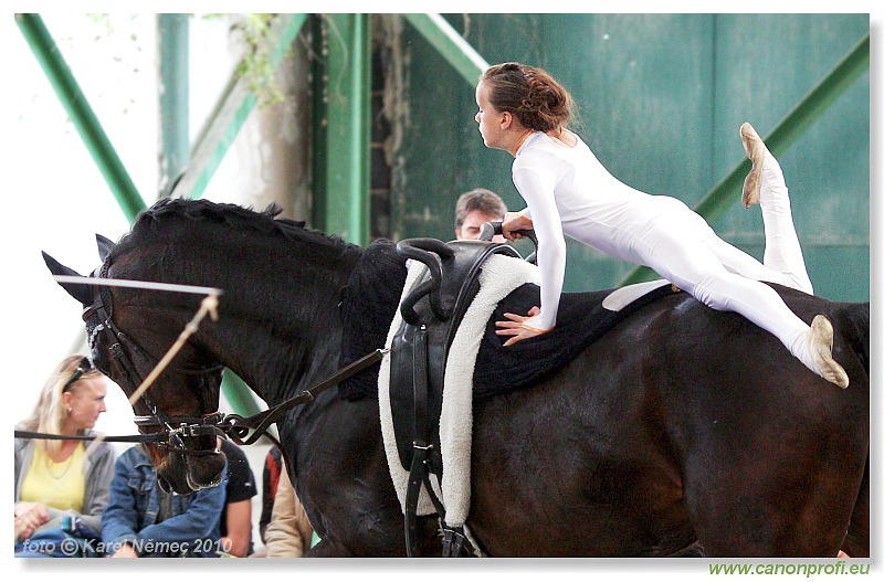 Voltíž - Vaulting 2010