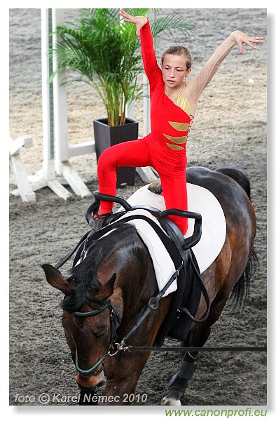Voltíž - Vaulting 2010
