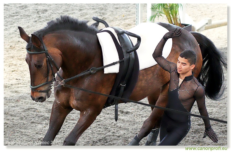 Voltíž - Vaulting 2010